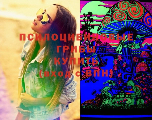 шишки Приозерск