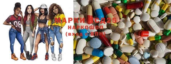 шишки Приозерск